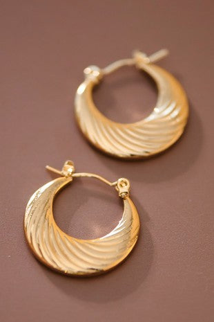 Stainless Steel Swirl Hoops