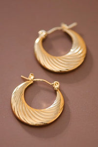 Stainless Steel Swirl Hoops